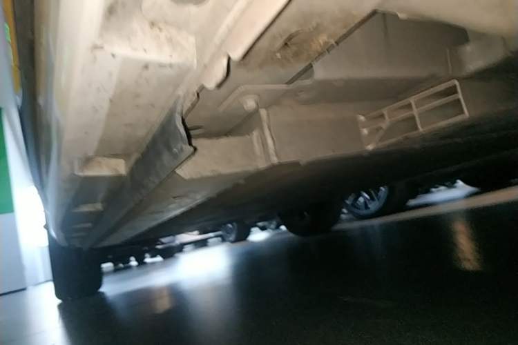 Used ORA Ballet Cat 2022 401 km Nutcracker Edition Right Side Sill