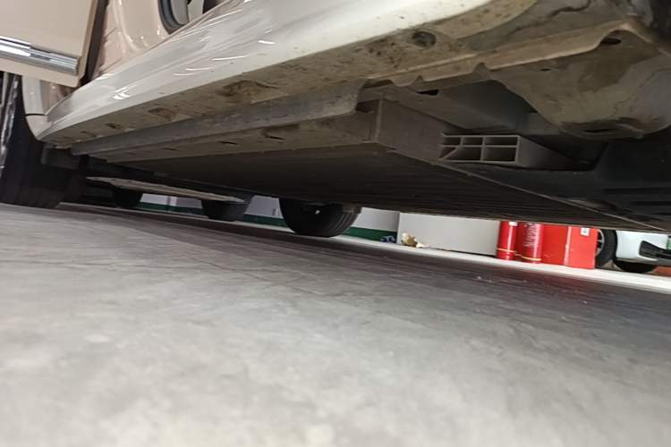 Used ORA Ballet Cat 2022 401 km Nutcracker Edition Right Side Sill