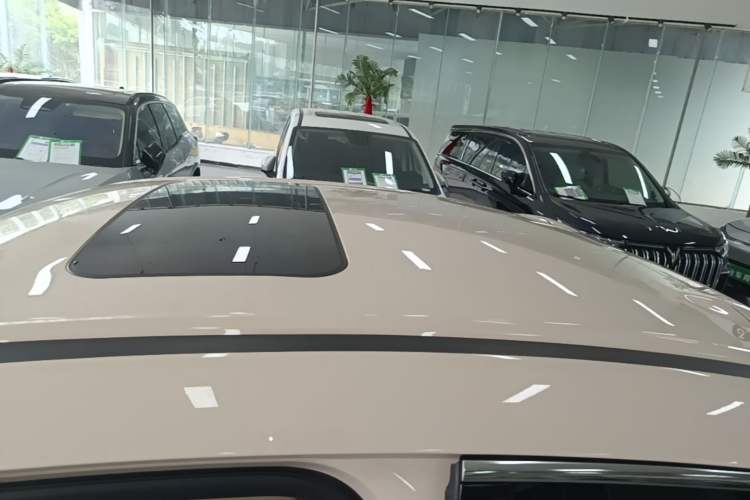 Used ORA Ballet Cat 2022 401 km Nutcracker Edition Roof
