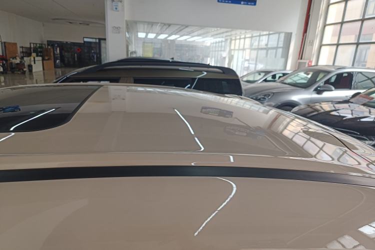 Used ORA Ballet Cat 2022 401 km Nutcracker Edition Roof