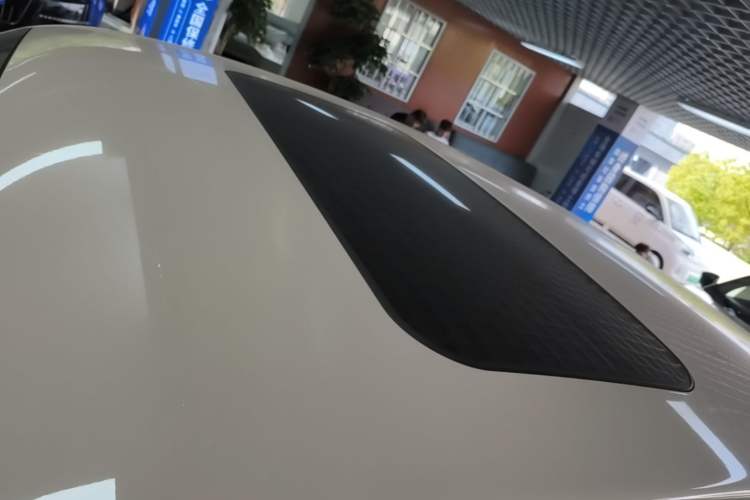 Used ORA Ballet Cat 2022 401 km Nutcracker Edition Roof
