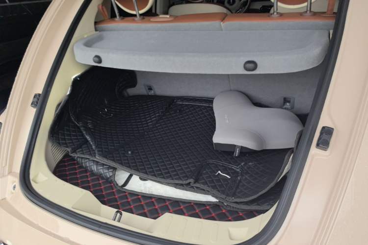 Used ORA Ballet Cat 2022 401 km Nutcracker Edition Trunk