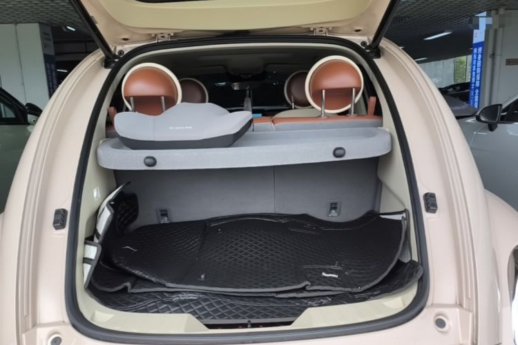 Used ORA Ballet Cat 2022 401 km Nutcracker Edition Trunk