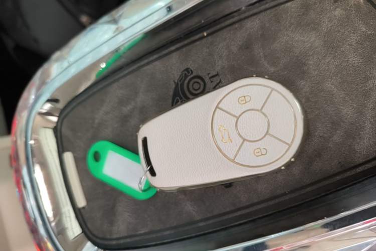 Used ORA Ballet Cat 2022 401 km Nutcracker Edition Vehicle Key