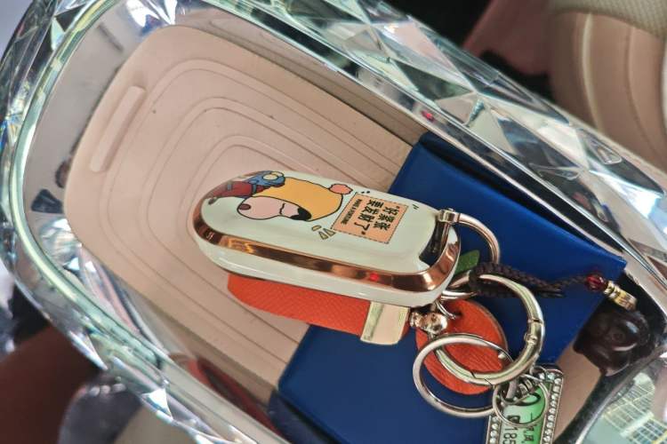 Used ORA Ballet Cat 2022 401 km Nutcracker Edition Vehicle Key