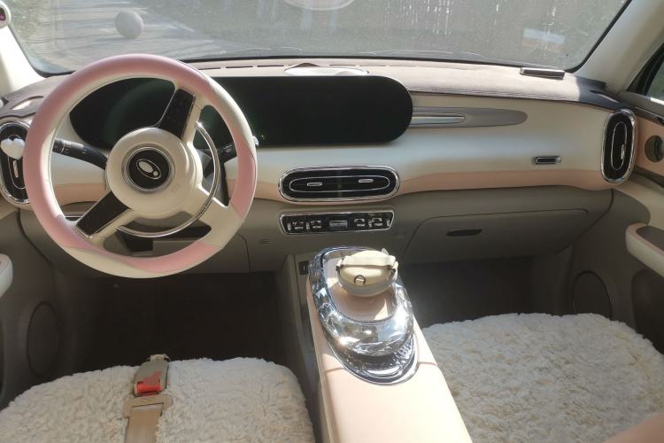 Used ORA Ballet Cat 2022 500 km Swan Lake Edition Center Console