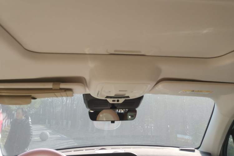 Used ORA Ballet Cat 2022 500 km Swan Lake Edition Headliner