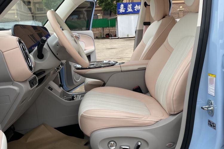 Used ORA Ballet Cat 2022 401 km Nutcracker Edition Interior 1