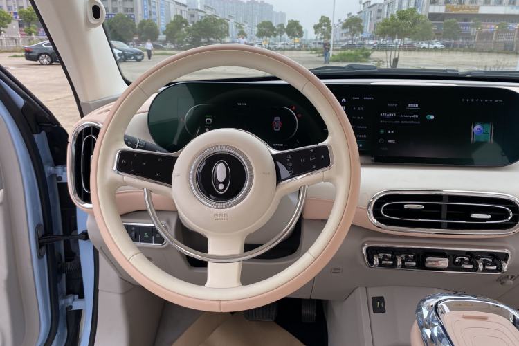 Used ORA Ballet Cat 2022 401 km Nutcracker Edition Interior 4