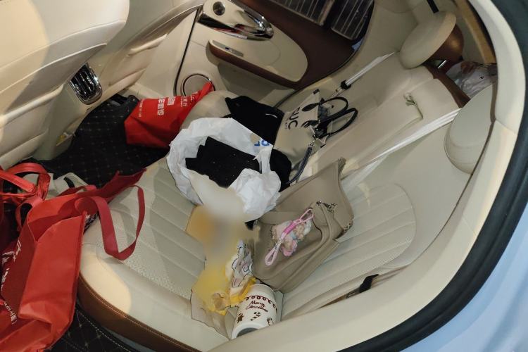 Used ORA Ballet Cat 2022 401 km Nutcracker Edition Interior 4