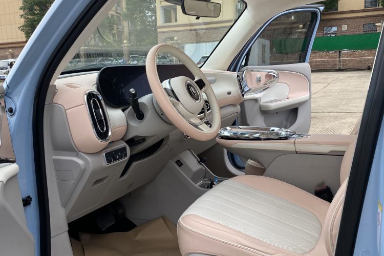 Used ORA Ballet Cat 2022 401 km Nutcracker Edition Interior 5