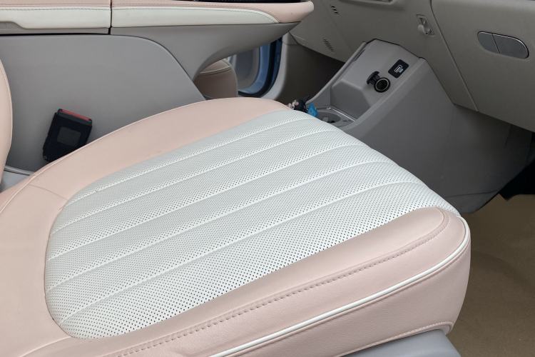 Used ORA Ballet Cat 2022 401 km Nutcracker Edition Interior 9