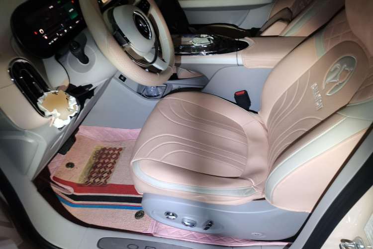 Used ORA Ballet Cat 2022 401 km Nutcracker Edition Left Front Seat