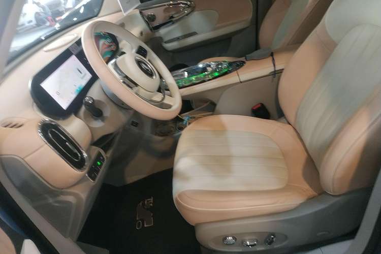 Used ORA Ballet Cat 2022 401 km Nutcracker Edition Left Front Seat
