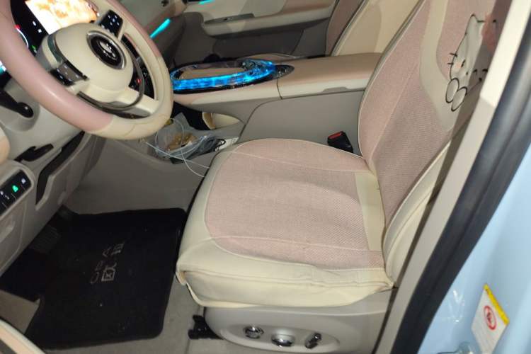 Used ORA Ballet Cat 2022 401 km Nutcracker Edition Left Front Seat