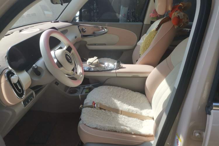 Used ORA Ballet Cat 2022 500 km Swan Lake Edition Left Front Seat