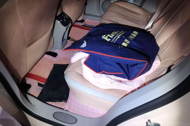 Used ORA Ballet Cat 2022 401 km Nutcracker Edition Left Rear Seat