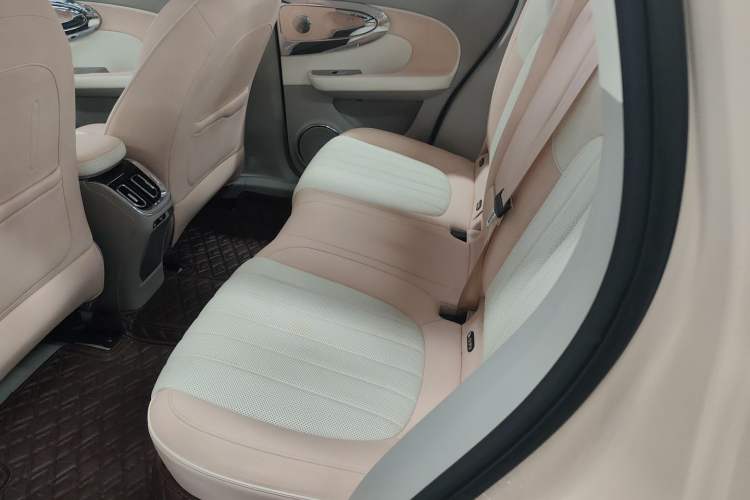 Used ORA Ballet Cat 2022 401 km Nutcracker Edition Left Rear Seat