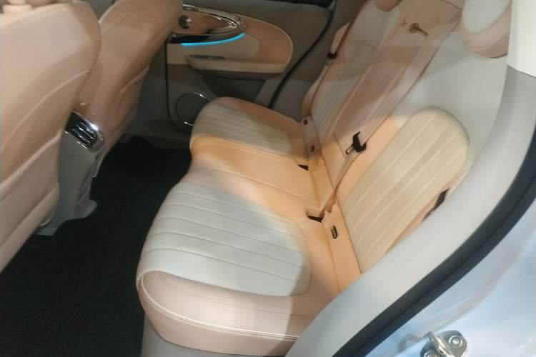Used ORA Ballet Cat 2022 401 km Nutcracker Edition Left Rear Seat