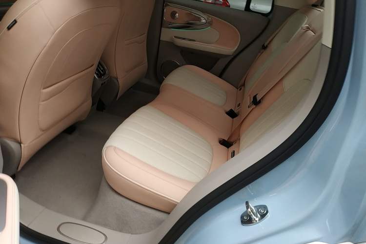 Used ORA Ballet Cat 2022 401 km Nutcracker Edition Left Rear Seat