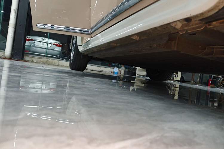 Used ORA Ballet Cat 2022 401 km Nutcracker Edition Right Side Sill