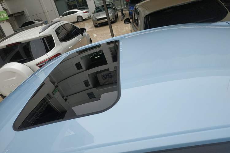 Used ORA Ballet Cat 2022 401 km Nutcracker Edition Roof