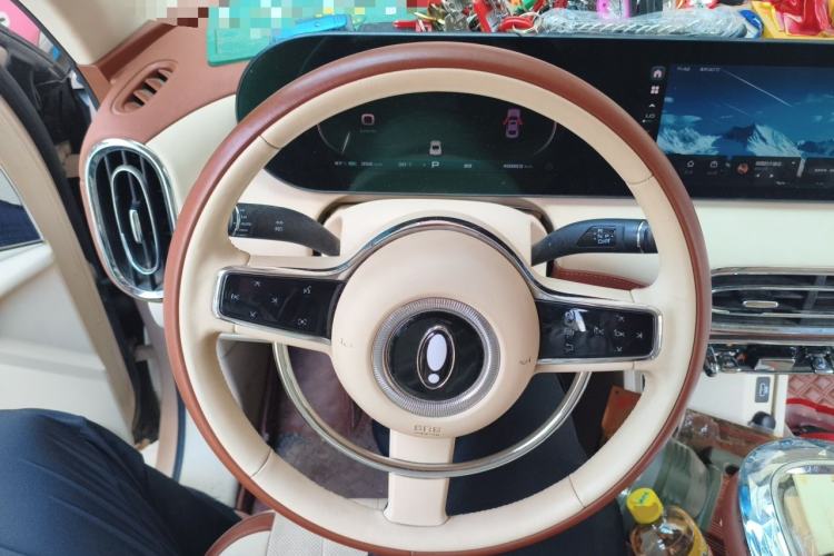 Used ORA Ballet Cat 2022 401 km Alice Edition Steering Wheel