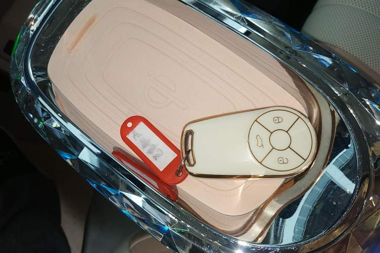Used ORA Ballet Cat 2022 401 km Nutcracker Edition Vehicle Key