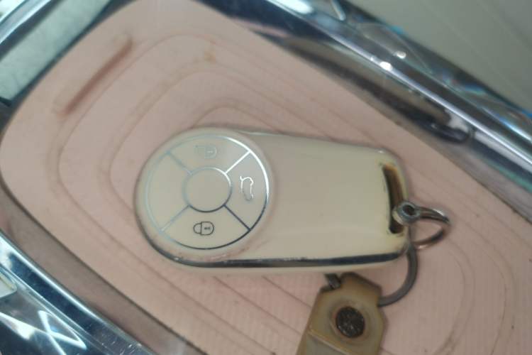 Used ORA Ballet Cat 2022 401 km Nutcracker Edition Interior 1