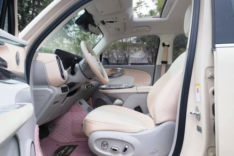 Used ORA Ballet Cat 2022 401 km Nutcracker Edition Interior 3