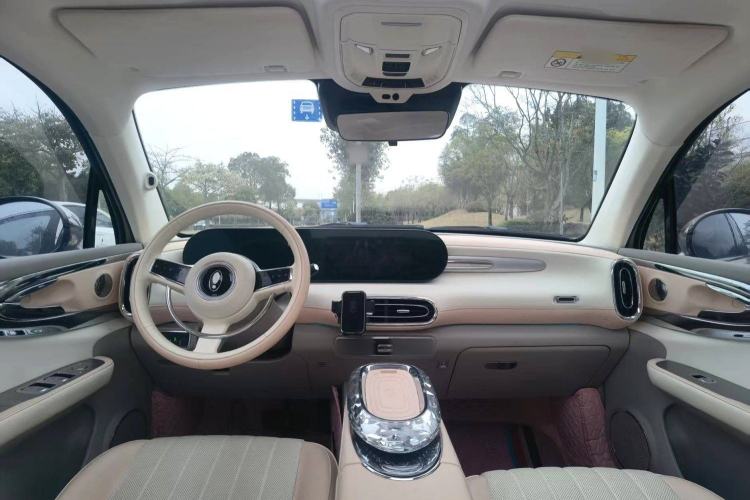 Used ORA Ballet Cat 2022 401 km Nutcracker Edition Interior 4