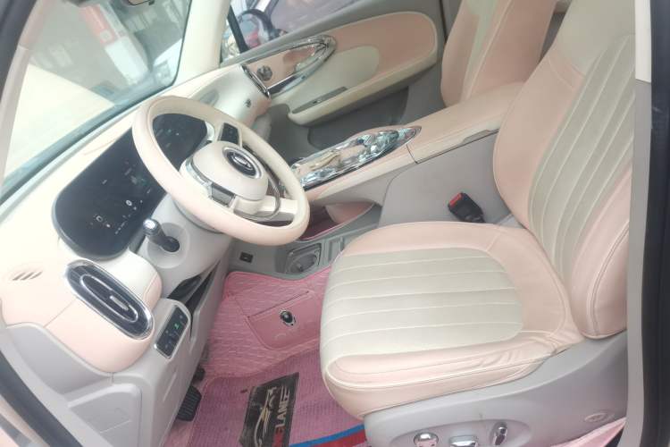 Used ORA Ballet Cat 2022 401 km Nutcracker Edition Left Front Seat