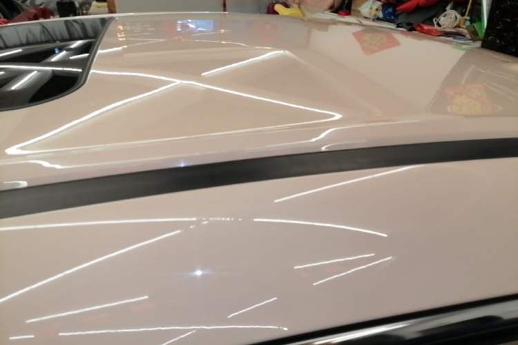 Used ORA Ballet Cat 2022 401 km Nutcracker Edition Roof