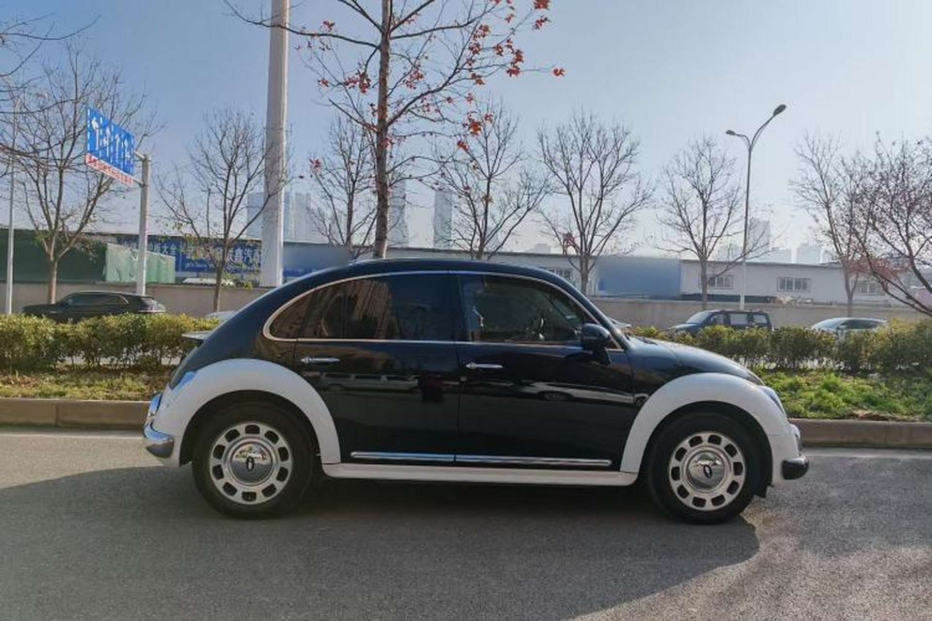 Used ORA Ballet Cat 2023 401 km Luxury Version Exterior 4
