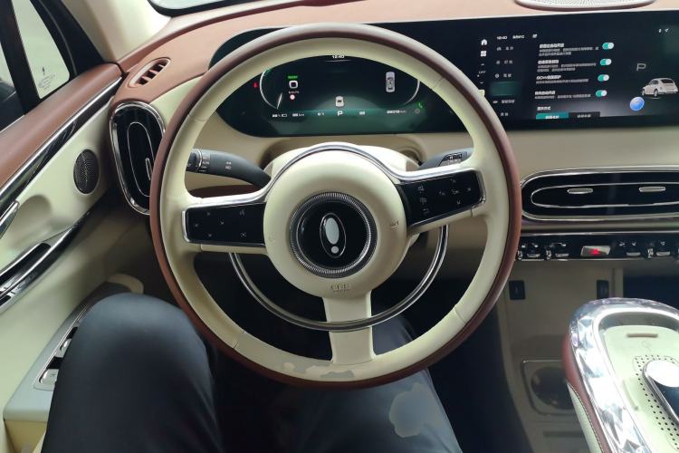 Used ORA Ballet Cat 2023 401 km Luxury Version Steering Wheel