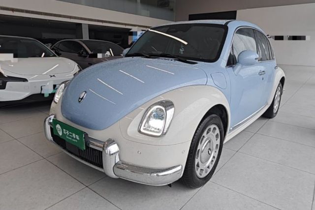 Used ORA Ballet Cat 2023 401 km Luxury Version