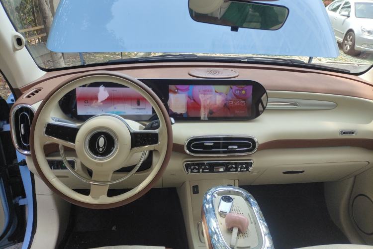 Used ORA Ballet Cat 2023 401 km Luxury Version Center Console