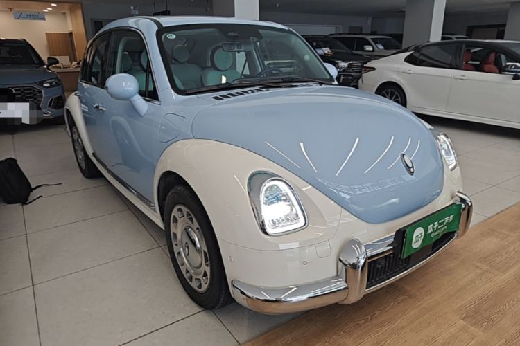 Used ORA Ballet Cat 2023 401 km Luxury Version Front Right 45 Deg