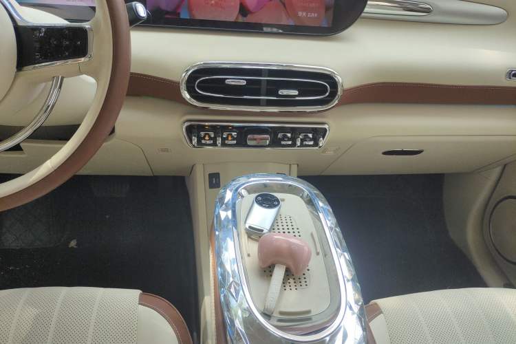 Used ORA Ballet Cat 2023 401 km Luxury Version Gear Lever