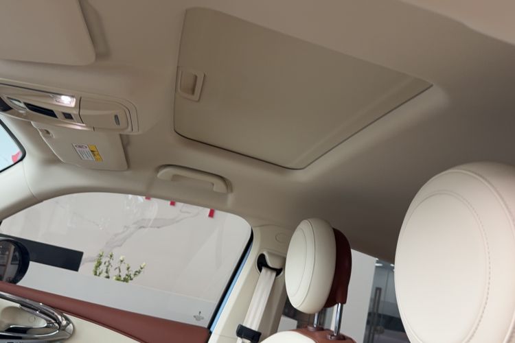 Used ORA Ballet Cat 2023 401 km Luxury Version Headliner