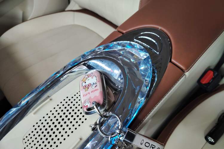 Used ORA Ballet Cat 2023 401 km Luxury Version Interior 1