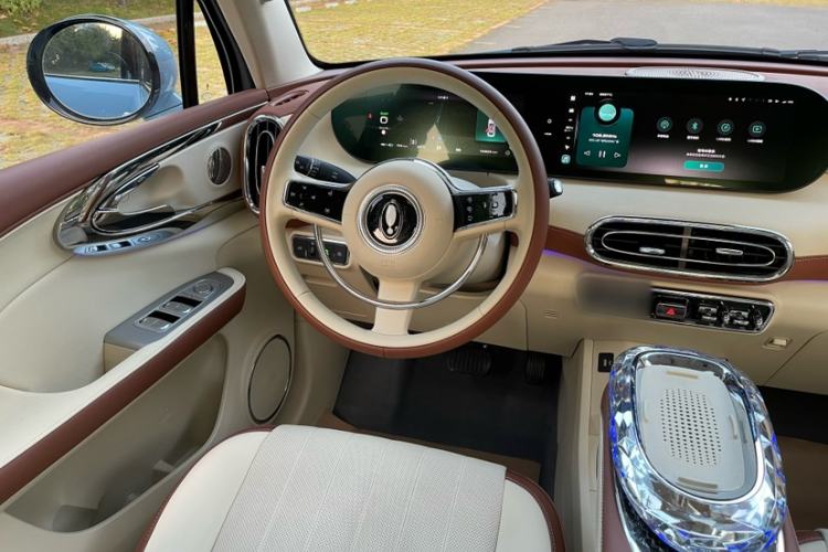 Used ORA Ballet Cat 2023 401 km Luxury Version Interior 2