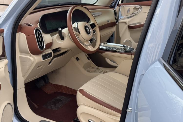 Used ORA Ballet Cat 2023 401 km Luxury Version Interior 3