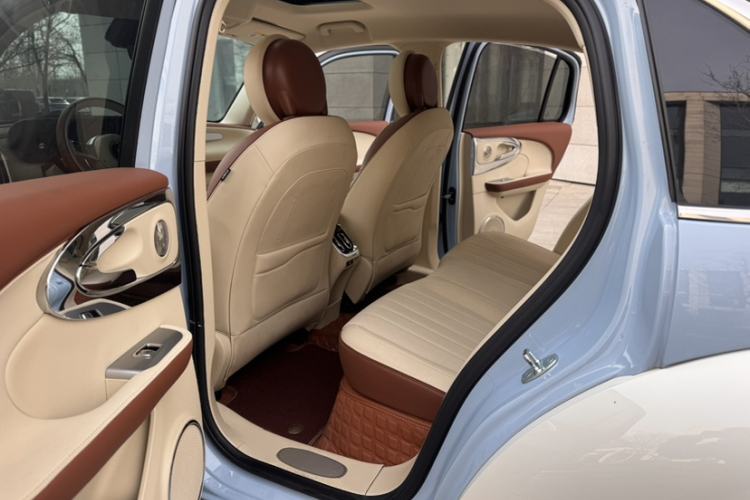 Used ORA Ballet Cat 2023 401 km Luxury Version Interior 4