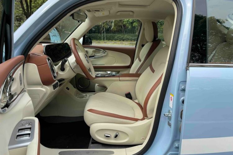 Used ORA Ballet Cat 2023 401 km Luxury Version Interior 5