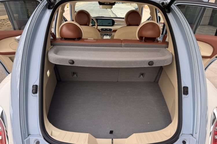 Used ORA Ballet Cat 2023 401 km Luxury Version Interior 6