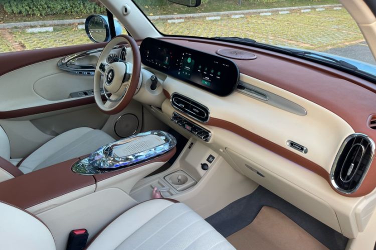 Used ORA Ballet Cat 2023 401 km Luxury Version Interior 8