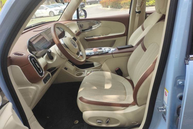 Used ORA Ballet Cat 2023 401 km Luxury Version Left Front Seat