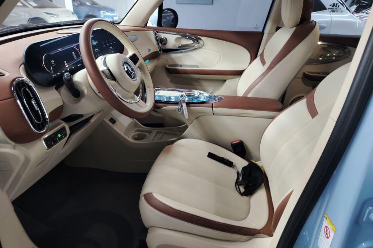 Used ORA Ballet Cat 2023 401 km Luxury Version Left Front Seat