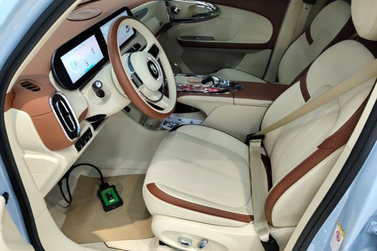 Used ORA Ballet Cat 2023 401 km Luxury Version Left Front Seat